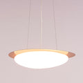 White Teak Pavlova Built-In LED Acrylic Pendant Light